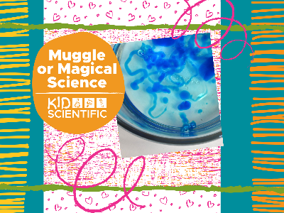 50% OFF - Muggle or Magical Science Workshop (5-12 Years)